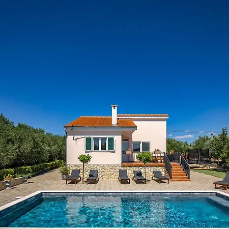 Divinus Villa Polaca